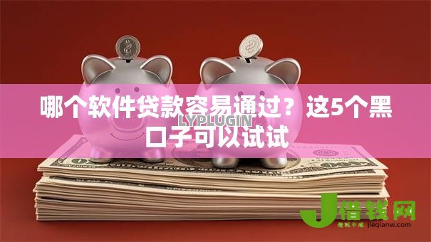 哪个软件贷款容易通过？这5个黑口子可以试试
