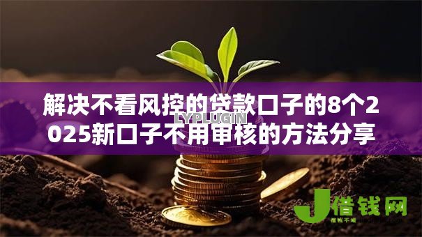 解决不看风控的贷款口子的8个2025新口子不用审核的方法分享 解决不看风控的贷款口子的8个2025新口子不用审核的方法分享