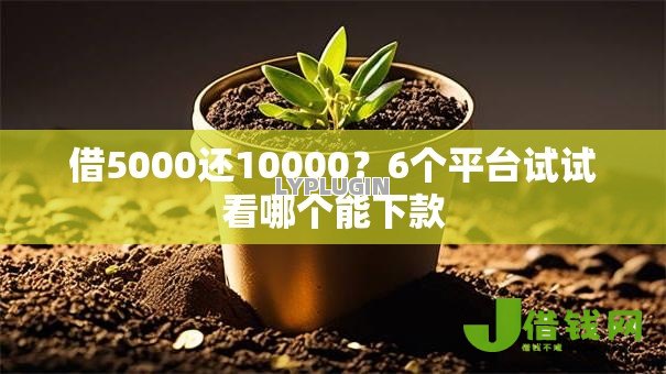 借5000还10000？6个平台试试看哪个能下款