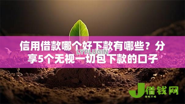信用借款哪个好下款有哪些？分享5个无视一切包下款的口子