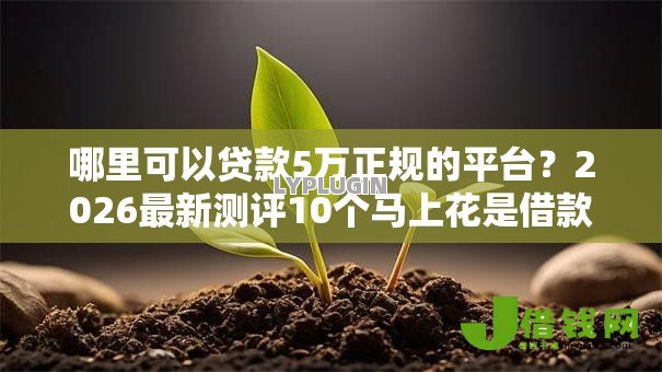 哪里可以贷款5万正规的平台？2026最新测评10个马上花是借款平台贷款