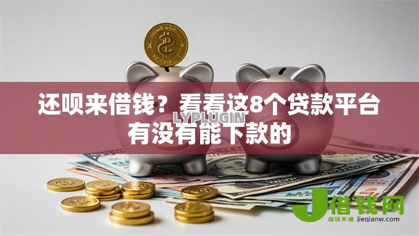 还呗来借钱？看看这8个贷款平台有没有能下款的