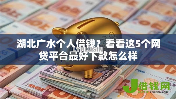 湖北广水个人借钱？看看这5个网贷平台最好下款怎么样