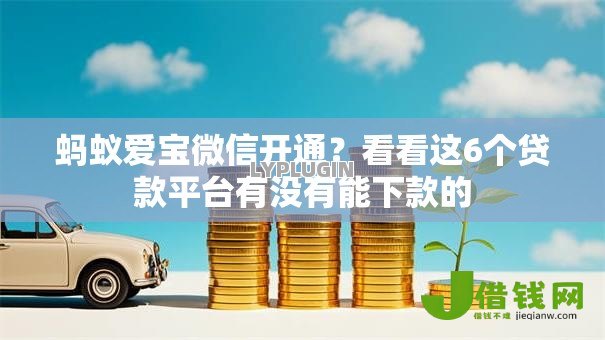 蚂蚁爱宝微信开通?看看这6个贷款平台有没有能下款的 蚂蚁爱宝微信开通?看看这6个贷款平台有没有能下款的