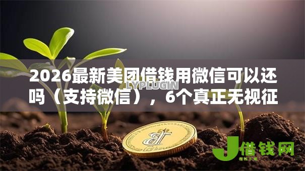 2026最新美团借钱用微信可以还吗（支持微信），6个真正无视征信黑白100%秒下网贷无私分享