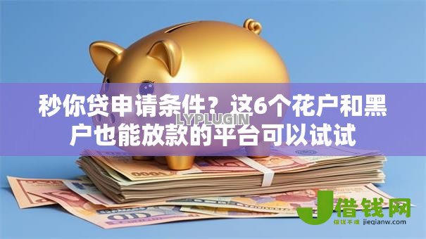 秒你贷申请条件？这6个花户和黑户也能放款的平台可以试试