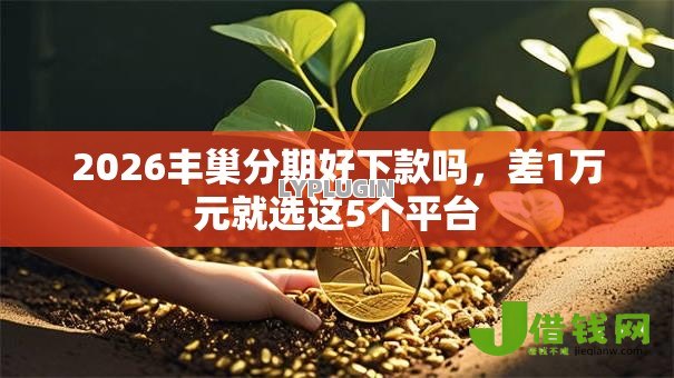 2026丰巢分期好下款吗，差1万元就选这5个平台
