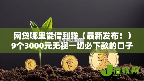 网贷哪里能借到钱（最新发布！）9个3000元无视一切必下款的口子