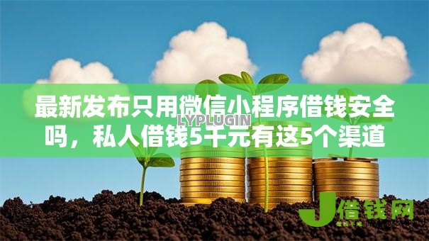 最新发布只用微信小程序借钱安全吗，私人借钱5千元有这5个渠道