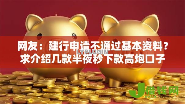 网友：建行申请不通过基本资料？求介绍几款半夜秒下款高炮口子