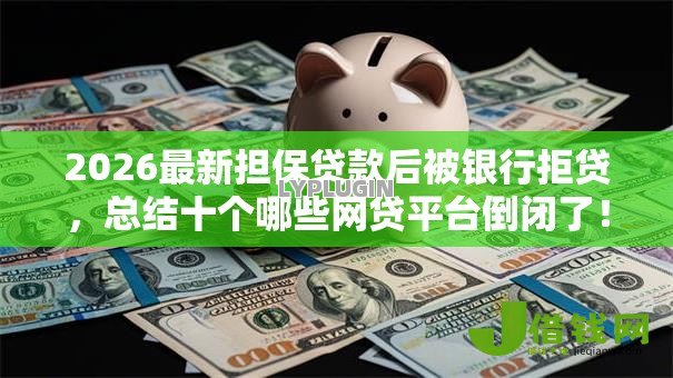 2026最新担保贷款后被银行拒贷,总结十个哪些网贷平台倒闭了! 2026最新担保贷款后被银行拒贷,总结十个哪些网贷平台倒闭了!