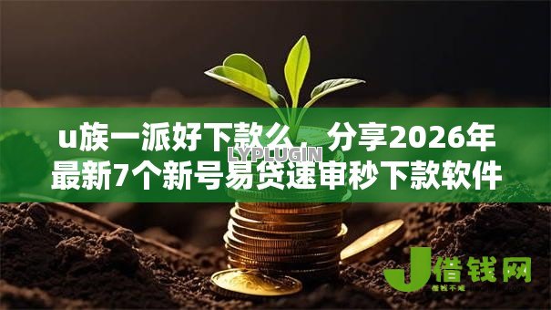 u族一派好下款么，分享2026年最新7个新号易贷速审秒下款软件