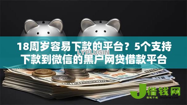 18周岁容易下款的平台？5个支持下款到微信的黑户网贷借款平台