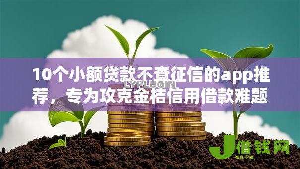 10个小额贷款不查征信的app推荐，专为攻克金桔信用借款难题