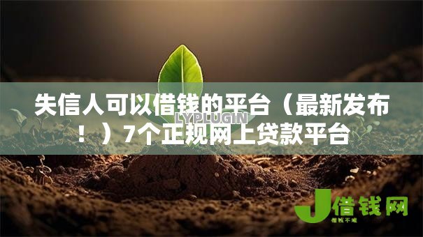 失信人可以借钱的平台（最新发布！）7个正规网上贷款平台