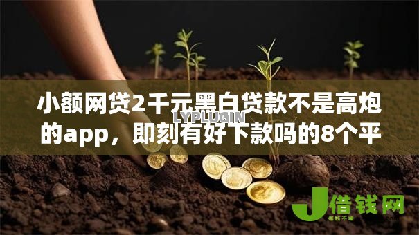 小额网贷2千元黑白贷款不是高炮的app,即刻有好下款吗的8个平台介绍 小额网贷2千元黑白贷款不是高炮的app,即刻有好下款吗的8个平台介绍