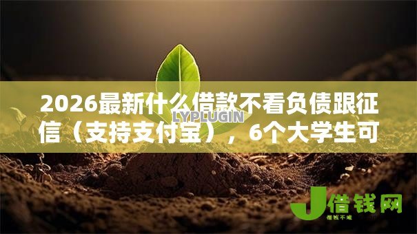 2026最新什么借款不看负债跟征信（支持支付宝），6个大学生可以借钱的平台无私分享