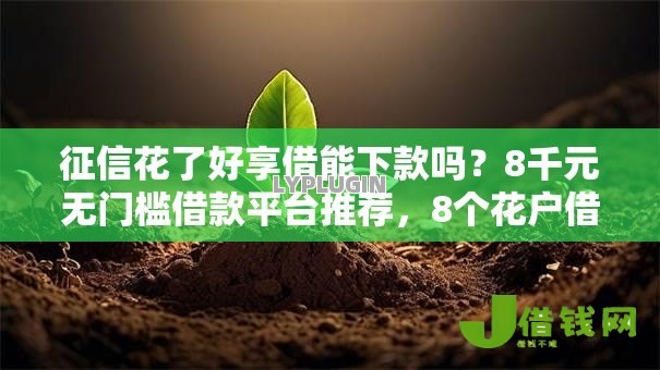 征信花了好享借能下款吗？8千元无门槛借款平台推荐，8个花户借款平台容易通过盘点