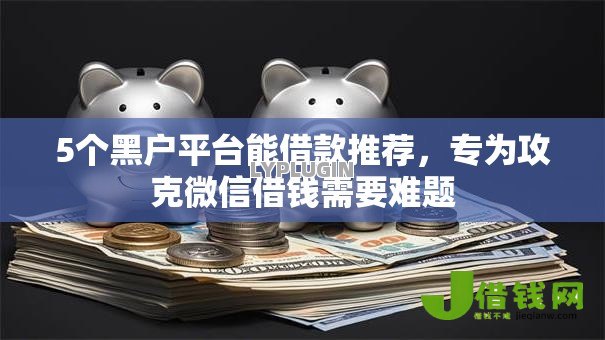 5个黑户平台能借款推荐，专为攻克微信借钱需要难题