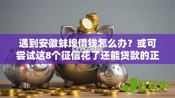 遇到安徽蚌埠借钱怎么办？或可尝试这8个征信花了还能贷款的正规平台