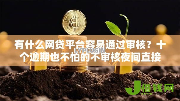 有什么网贷平台容易通过审核?十个逾期也不怕的不审核夜间直接放款的网贷软件 有什么网贷平台容易通过审核?十个逾期也不怕的不审核夜间直接放款的网贷软件