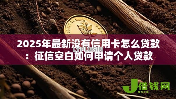 2025年最新没有信用卡怎么贷款：征信空白如何申请个人贷款