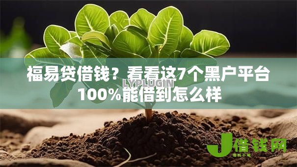 福易贷借钱?看看这7个黑户平台100%能借到怎么样 福易贷借钱?看看这7个黑户平台100%能借到怎么样
