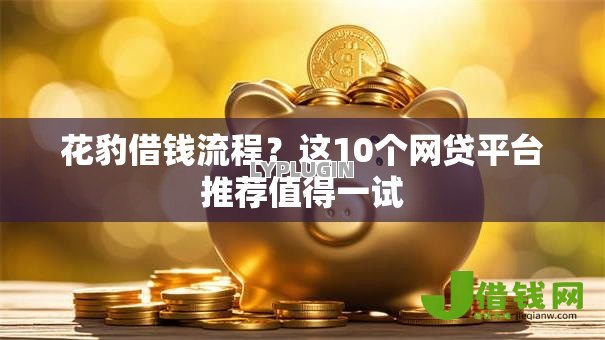 花豹借钱流程？这10个网贷平台推荐值得一试