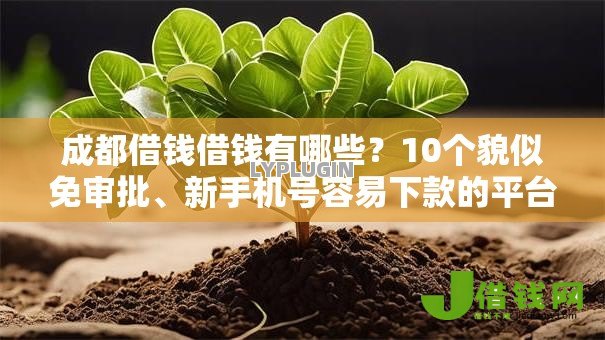成都借钱借钱有哪些?10个貌似免审批、新手机号容易下款的平台合集 成都借钱借钱有哪些?10个貌似免审批、新手机号容易下款的平台合集