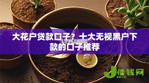 大花户贷款口子？十大无视黑户下款的口子推荐