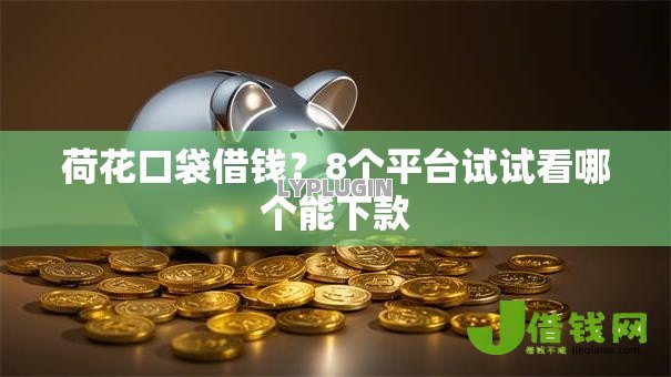 荷花口袋借钱?8个平台试试看哪个能下款 荷花口袋借钱?8个平台试试看哪个能下款