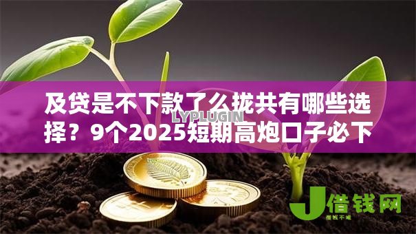 及贷是不下款了么拢共有哪些选择？9个2025短期高炮口子必下款详解