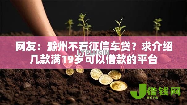 网友：滁州不看征信车贷？求介绍几款满19岁可以借款的平台