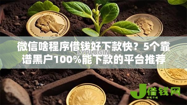 微信啥程序借钱好下款快？5个靠谱黑户100%能下款的平台推荐