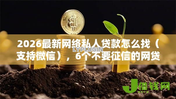 2026最新网络私人贷款怎么找（支持微信），6个不要征信的网贷平台无私分享