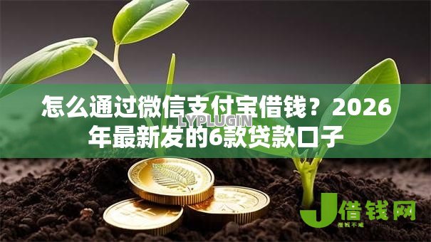 怎么通过微信支付宝借钱？2026年最新发的6款贷款口子
