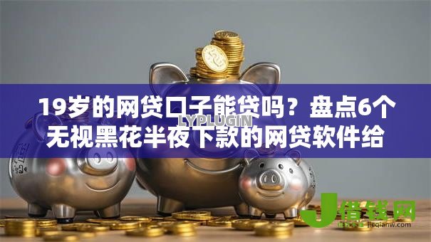19岁的网贷口子能贷吗？盘点6个无视黑花半夜下款的网贷软件给你参考