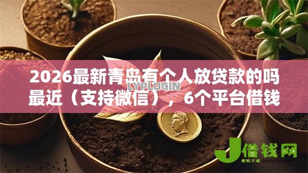 2026最新青岛有个人放贷款的吗最近（支持微信），6个平台借钱利息低无私分享