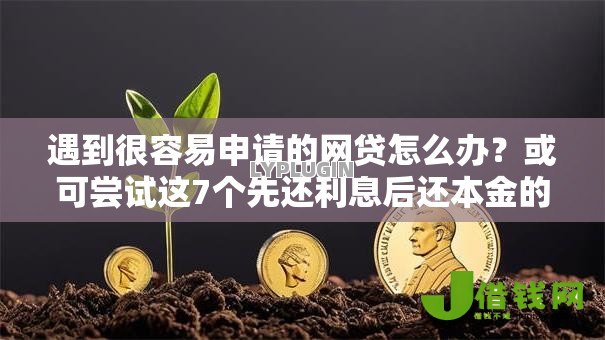遇到很容易申请的网贷怎么办？或可尝试这7个先还利息后还本金的贷款平台