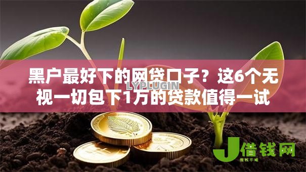 黑户最好下的网贷口子?这6个无视一切包下1万的贷款值得一试 黑户最好下的网贷口子?这6个无视一切包下1万的贷款值得一试