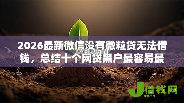 2026最新微信没有微粒贷无法借钱,总结十个网贷黑户最容易最好下款的平台! 2026最新微信没有微粒贷无法借钱,总结十个网贷黑户最容易最好下款的平台!