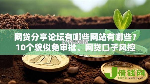 网贷分享论坛有哪些网站有哪些？10个貌似免审批、网贷口子风控不严的平台合集