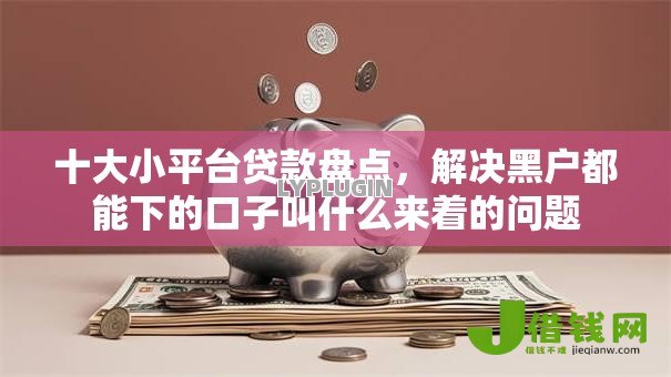 十大小平台贷款盘点，解决黑户都能下的口子叫什么来着的问题