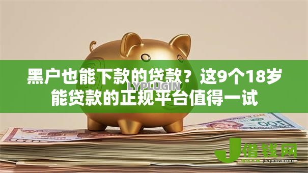 黑户也能下款的贷款？这9个18岁能贷款的正规平台值得一试