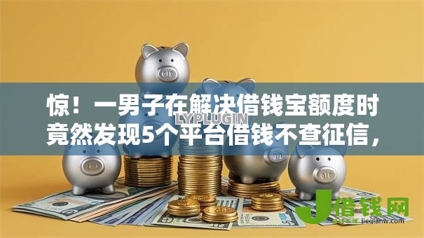 惊！一男子在解决借钱宝额度时竟然发现5个平台借钱不查征信，事后分享了出来