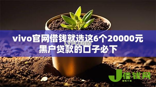 vivo官网借钱就选这6个20000元黑户贷款的口子必下
