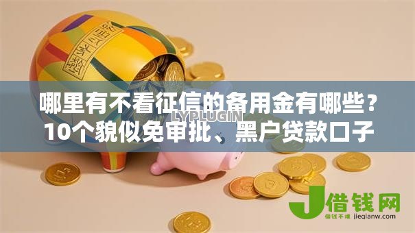 哪里有不看征信的备用金有哪些?10个貌似免审批、黑户贷款口子秒下的合集 哪里有不看征信的备用金有哪些?10个貌似免审批、黑户贷款口子秒下的合集