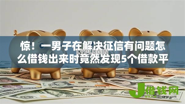 惊！一男子在解决征信有问题怎么借钱出来时竟然发现5个借款平台可以给黑户当前有逾期的借款一万，事后分享了出来