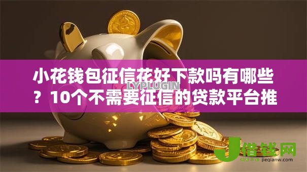 小花钱包征信花好下款吗有哪些？10个不需要征信的贷款平台推荐给你