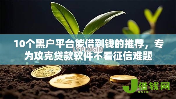 10个黑户平台能借到钱的推荐，专为攻克贷款软件不看征信难题